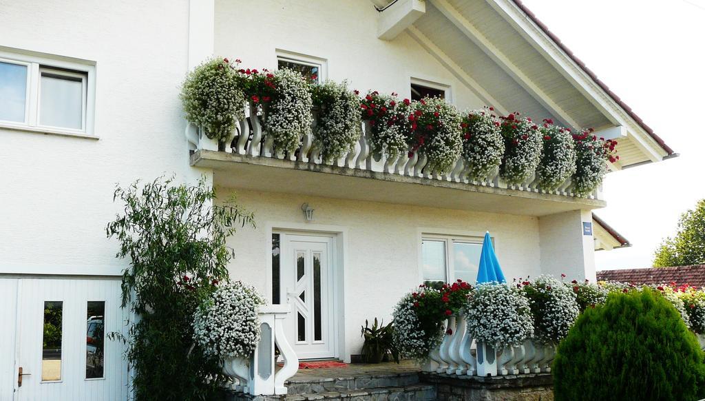 Ranch Terra Hotel Irinovac Exterior foto