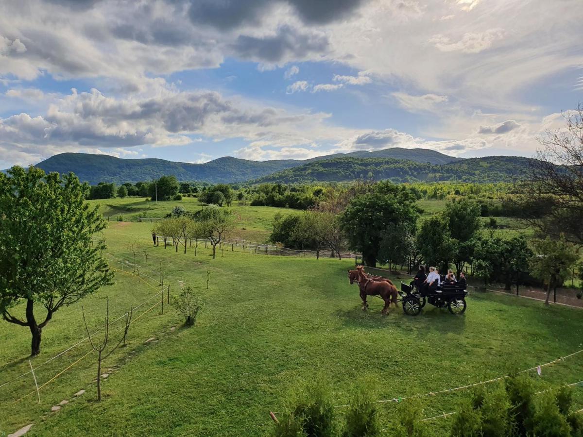 Ranch Terra Hotel Irinovac Exterior foto