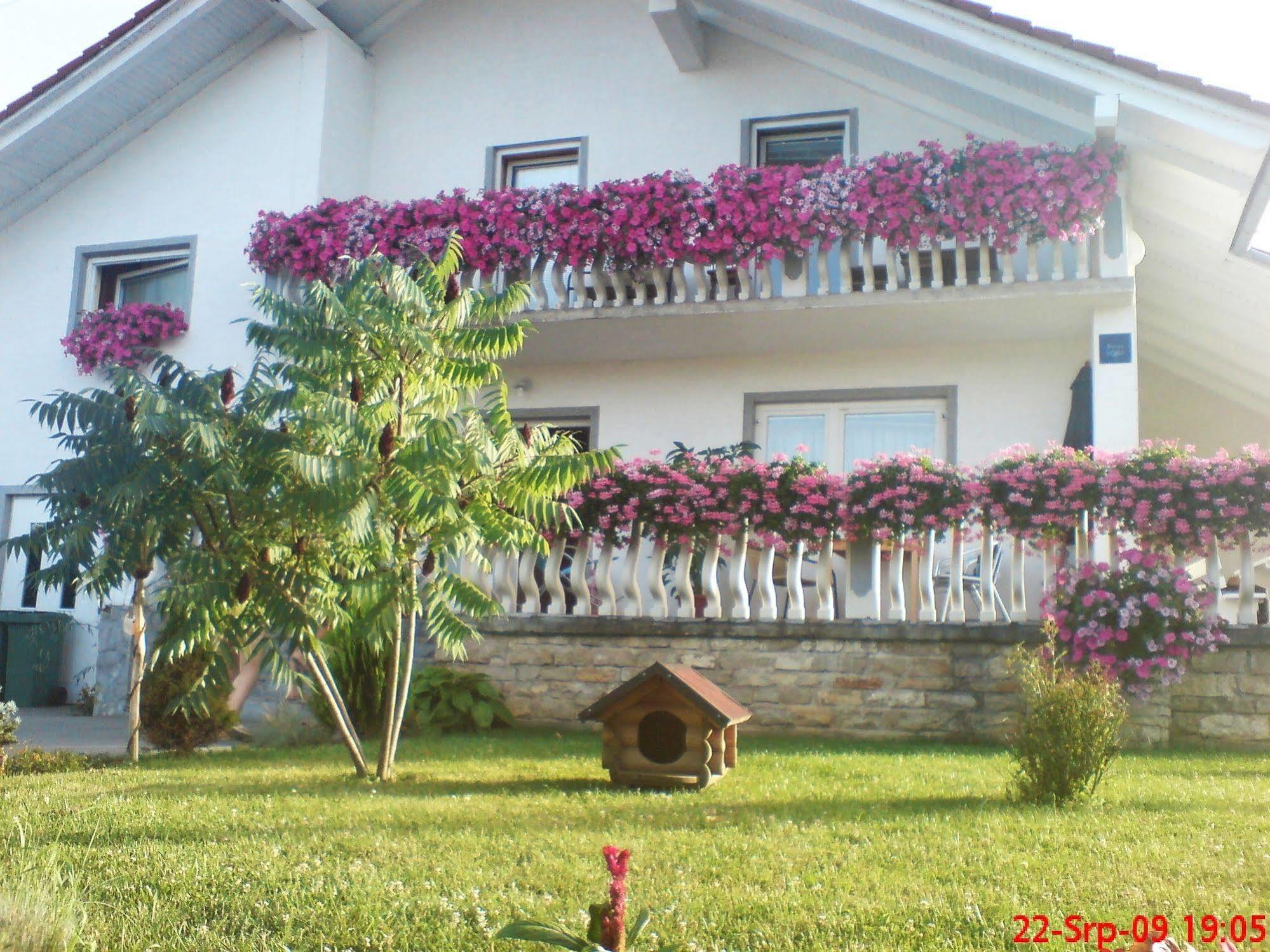 Ranch Terra Hotel Irinovac Exterior foto