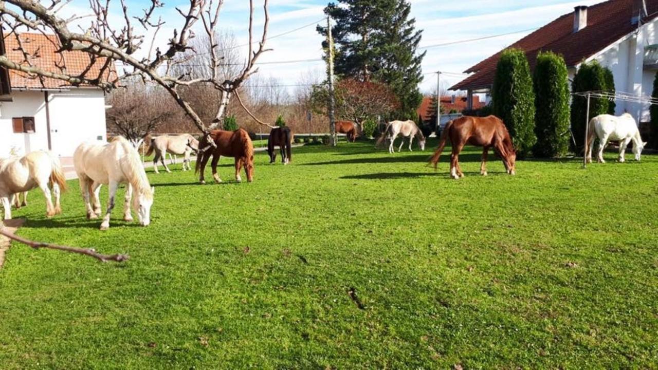 Ranch Terra Hotel Irinovac Exterior foto